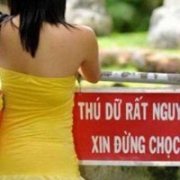Những tấm ảnh cực độc chỉ có thể là Việt Nam