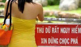 Những tấm ảnh cực độc chỉ có thể là Việt Nam