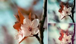 108 bộ Action blend màu tự động trong Photoshop