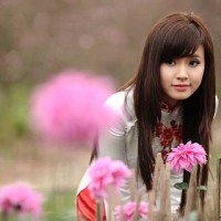 Bộ ảnh Midu đẹp mỏng manh giữa trời xuân cùng hoa đào