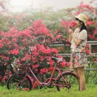 Bộ stock cô gái Trung Hoa hòa quyện cùng thiên nhiên
