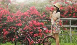 Bộ stock cô gái Trung Hoa hòa quyện cùng thiên nhiên