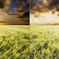 Chuyển từ một bức ảnh chụp thật sang bức tranh sơn dầu