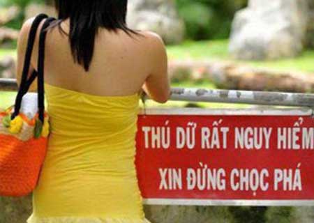 Những tấm ảnh cực độc chỉ có thể là Việt Nam