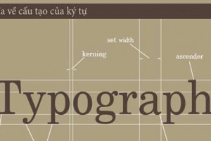 Các quy ước và định nghĩa cơ bản về ký tự trong Typography